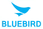 Bluebird Electronics